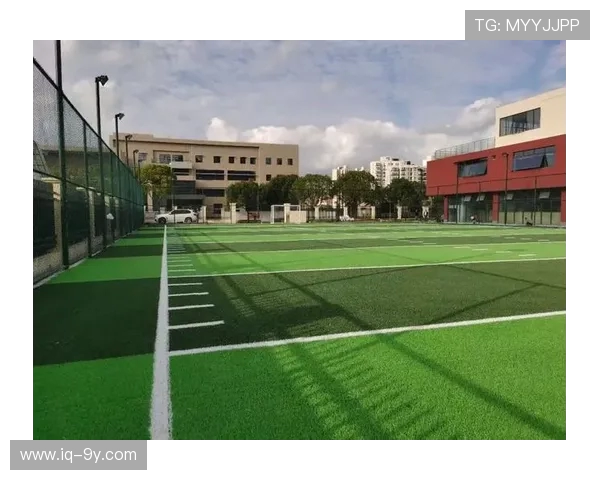 闵行区足球场分布一览及各场地详细地址信息大全